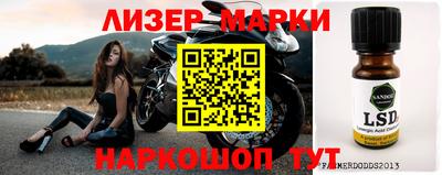 гидра Новозыбков