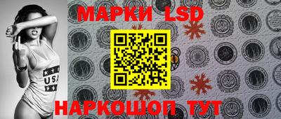 гидра Новозыбков