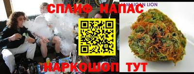 гидра Новозыбков