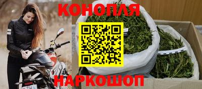 стаф Новокубанск