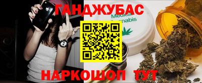гидра Новозыбков