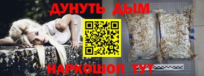 стаф Новокубанск