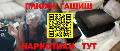 гидра Новозыбков