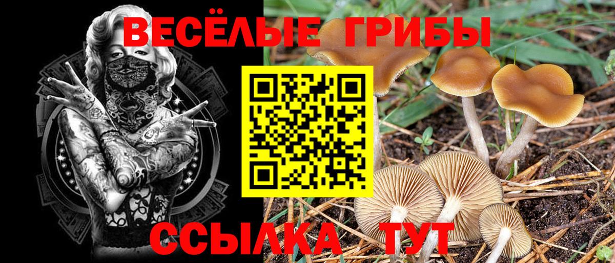 Галлюциногенные грибы мухоморы  Вход с VPN  Тихвин 