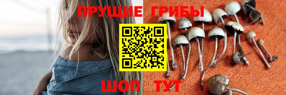 Галлюциногенные грибы Magic Shrooms Тихвин